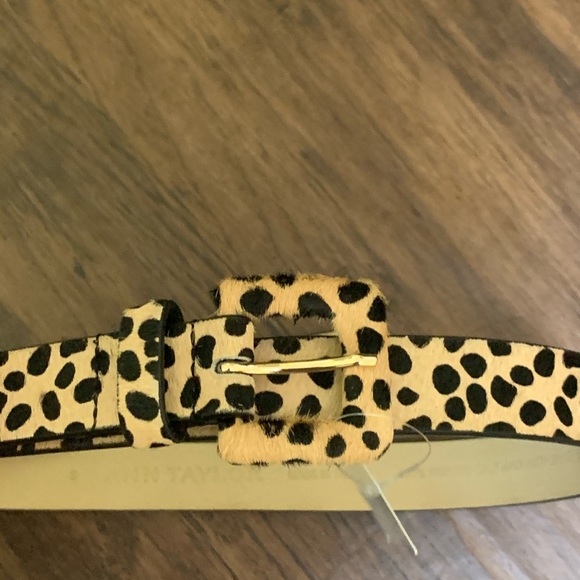 Ann Taylor spotted haircult belt main image 12